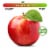 Simple Truth Organic® Honey Crisp Apples - 2 Pound Bag Perspective: back