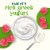 Simple Truth™ Raspberry Cheesecake Frozen Greek Yogurt Bars Perspective: back