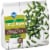 Kroger® Traditional Favorites Frozen Green Beans Cut Perspective: back