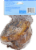 Pet Pride® Natural Smokey Beef Knuckle Bone for Dogs Perspective: back