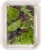 Simple Truth Organic™ Baby Spring Mix with Fresh Herbs Perspective: back