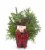 Bloom Haus Assorted Greenery Planter Arrangement Perspective: back