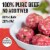 Kroger® 3 lb. Lean Ground Beef Chuck 80/20 Perspective: back