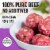 Kroger® 85/15 Lean Ground Beef Roll Perspective: back