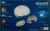 Bissell® SpinWave Robotic Mop & Vacuum Perspective: back