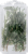Simply Roundy's Organic Rosemary Perspective: back