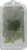 Roundy's Organics Tarragon Perspective: back