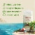 Old Spice® Aluminum-Free Fiji with Palm Tree Deodorant Perspective: back