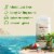 Old Spice for Men Aluminum-Free Deodorant Fiji with Palm Tree Scent 1-Pack Perspective: back