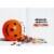 Avanti Raccoon Cowboy Trick Or Treating Funny Halloween Card Perspective: back