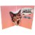 Avanti Press Greeting Cards Birthday OMG Cat Perspective: back