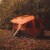 Gazelle T4 4-Person Pop Up Camping Hub Tent w/Removable Floor & Rain Fly, Orange Perspective: back