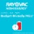 Rayovac® High Energy™ AA Alkaline Batteries Perspective: back