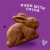 Annie's Organic Chocolate Bunny Graham Snacks Perspective: back