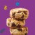 Annie's Chocolate Chip Organic Cookie Bites Perspective: back