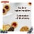 Pepperidge Farm Verona Blueberry Thumbprint Cookies Perspective: back
