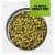 Wonderful Pistachios, No Shells Unsalted 6 Ounce Resealable Pouch Perspective: back