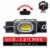 Coast RL10 500 Lm. LED Headlamp Perspective: back
