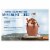 Swiss Miss Dark Chocolate Flavored Hot Cocoa Mix Perspective: back