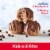 Betty Crocker™ No Bake Bites Chocolate Chip Cookie Dough Perspective: back