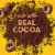 General Mills Chocolate Cheerios Large Size Cereal Perspective: back