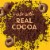 General Mills Chocolate Cheerios Large Size Cereal Perspective: back