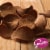 Gardetto's® Roasted Garlic Rye Chips Perspective: back