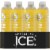 Sparkling Ice® Coconut Pineapple Flavored Sparkling Bottled Water Perspective: back