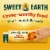 Sweet Earth Big Sur Breakfast Burrito Vegan Frozen Burrito Perspective: back
