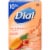 Dial® Tropical Escape® Antibacterial Deodorant Bar Soap Perspective: back