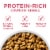 Purina ONE +Plus Skin & Coat Adult Dry Dog Food Real Salmon Perspective: back