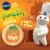 Pillsbury Ready to Bake! Pumpkin Shape Sugar Cookie Dough Perspective: back