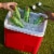 Michelob Ultra Lime Cactus American Beer Perspective: back