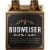 Budweiser Black Lager Perspective: back