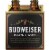 Budweiser Black Lager Perspective: back