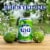Busch Light Lime American Beer Perspective: back