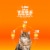 IAMS Proactive Health Sensitive Digestion & Skin Turkey Adult Dry Cat Food Perspective: back