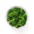 Green Giant Simply Steam Broccoli Florets Perspective: back