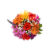January Jubilee Fresh Flower Bouquet Perspective: back
