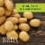 Simply Potatoes Garlic Mashed Potatoes Perspective: back