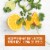 Food Network Kitchen Inspirations Cuban Style Orange Citrus Vinaigrette Salad Dressing, Bottle Perspective: back