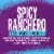 Taco Bell Creamy Spicy Ranchero Sauce, Bottle Perspective: back