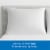 AllerEase® Maximum Zippered Pillow Protector Perspective: back