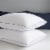 Sealy® Cooling Comfort Zippered Pillow Protector Perspective: back