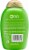 OGX® Extra Strength Refreshing Healthy Scalp + Teatree Mint Conditioner Perspective: back