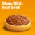 Pedigree Chopped Ground Dinner Adult Canned Soft Wet Dog Food Beef Perspective: back