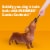 Pedigree Canine Cookout Meaty Sticks Dog Treats Chicken Flavored Perspective: back