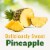 Del Monte® Sliced Pineapple in 100% Juice Canned Fruit Perspective: back