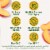 Del Monte No Sugar Added Diced Peaches Fruit Cup Snacks Perspective: back