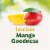 DEL MONTE Diced Mango FRUIT CUP Snacks in 100% Fruit Juice 4 Pack Perspective: back